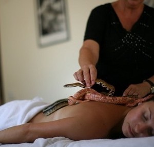 masaje exotico con serpientes
